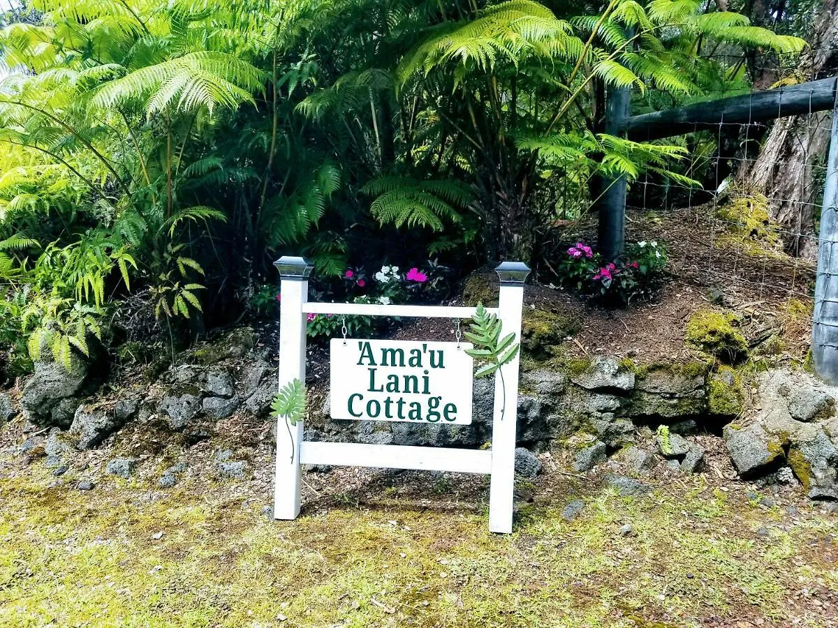 Casa vacanze 'Ama'u Lani Cottage Volcano